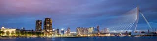 Free walking tour in Rotterdam