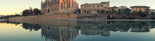 Free tours Palma